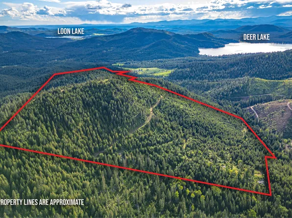 Tbd Buck Creek Rd, Loon Lake, WA 99148