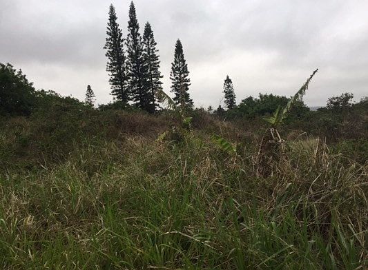2nd image of 94-5759 Au Moku Pl Lot 336