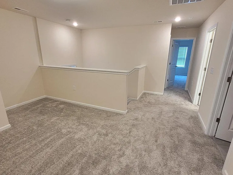 234 Ribbon Rail St — Photo 25