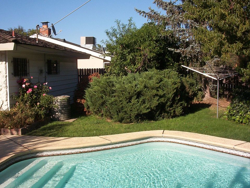 Our yard