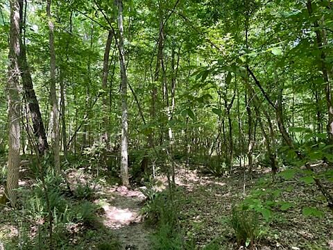 1st image of 0 Sparks Bend Ln