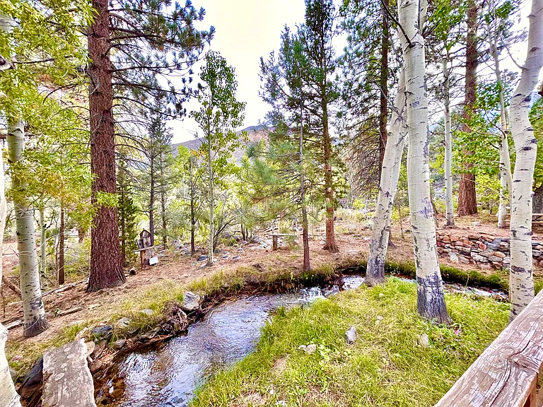 396 Juniper Dr #A — Photo 9