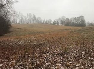 Back Valley Rd, Speedwell, TN 37870