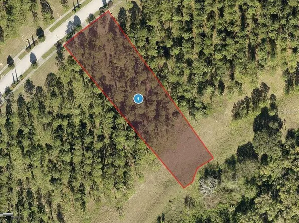 16123 Pendio Dr #53, Montverde, FL 34756