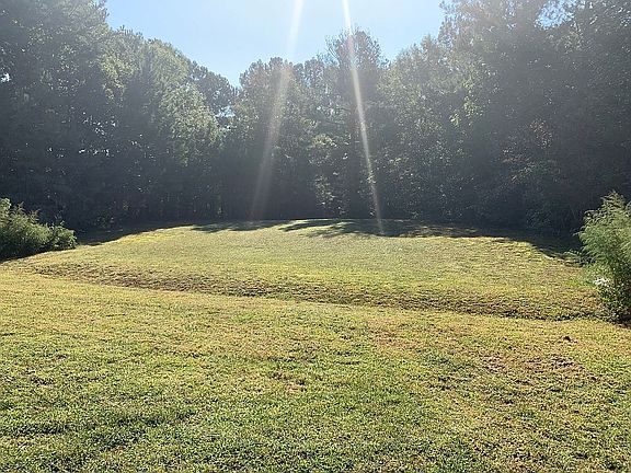 lg rearyard w/ stream & deer