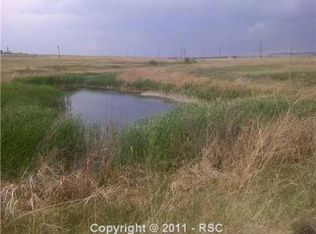 21163 Blue Springs Vw, Peyton, CO 80831