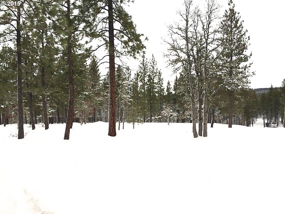 2nd image of Leaning Pine Ln