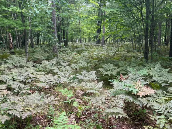LOT 43 Deerpath Trail Way, Danbury, WI 54830