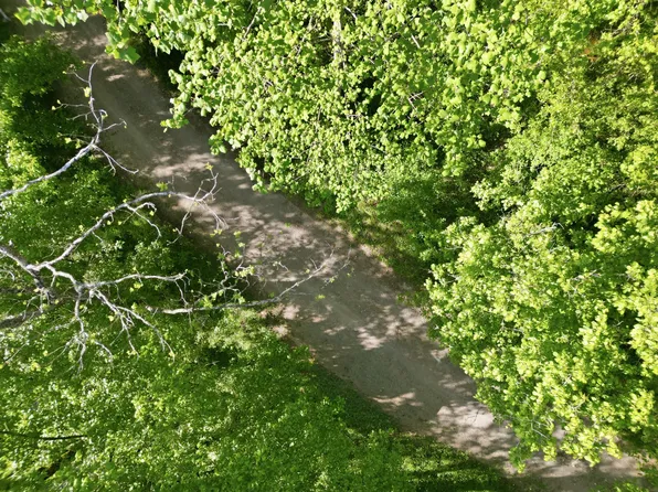 364 Lock Ln, Tazewell, TN 37879