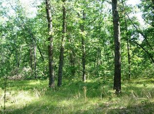 17229 Foster Rd, Wellston, MI 49689