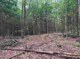 LOT R11 Forest Rd #11, Hancock, NH 03449