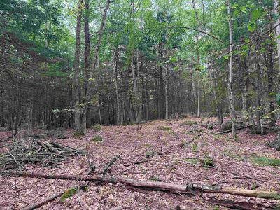 Lot R11-11-1 Forest Road, Hancock, NH, 03449