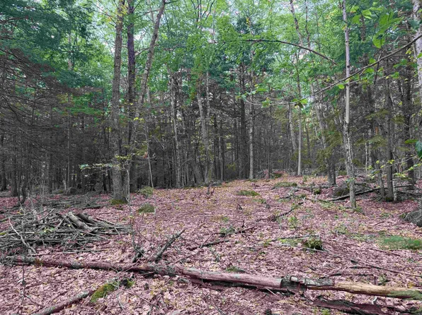 Lot R11-11-1 Forest Road, Hancock, NH 03449