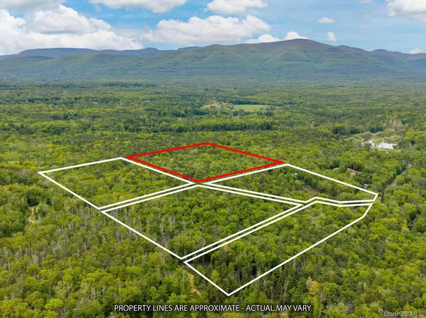 40 Mamoud Hills, Lot #4 Road, Kingston, NY 12401