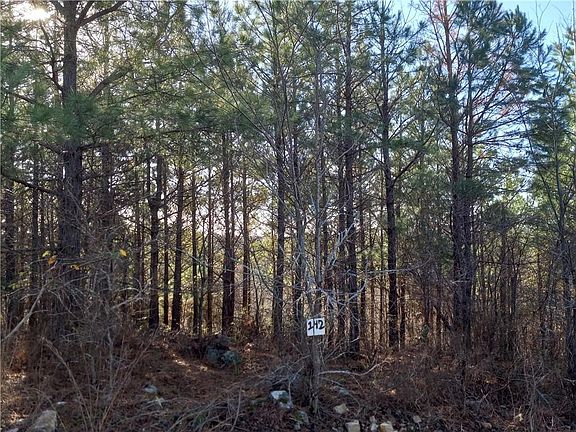 4th image of 142 Evergreen Vista Loop Lot 142