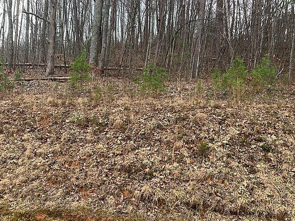 5th image of Lot 20 Wolf Ridge Lane LOT 20
