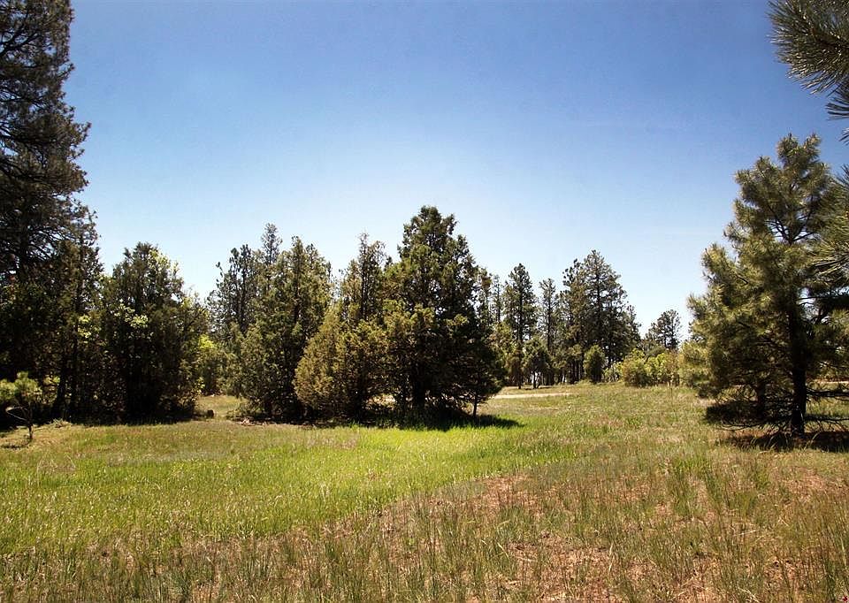 988 Crooked Rd, Pagosa Springs, CO 81147 MLS 790819 Zillow