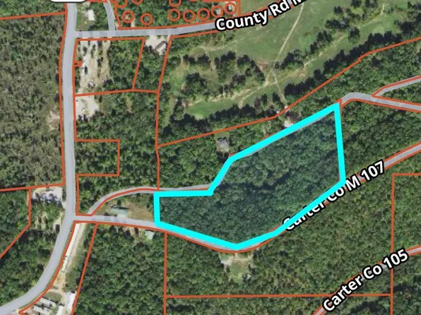 0 County Road 106, Van Buren, MO 63965