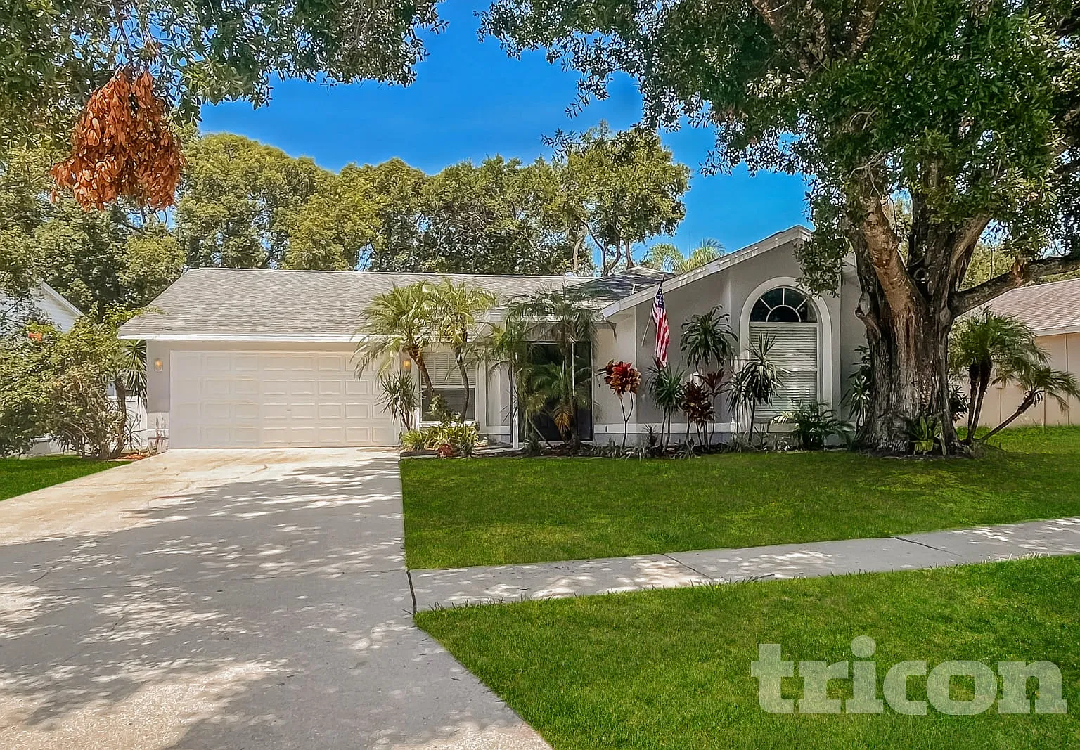 653 Sand Ridge Drive Valrico FL — Photo 1