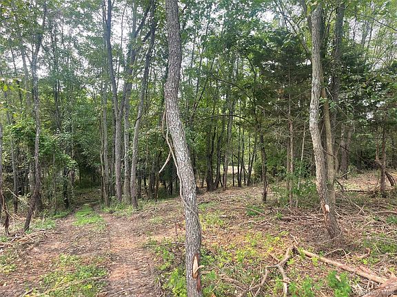 3rd image of Bells Pond Road