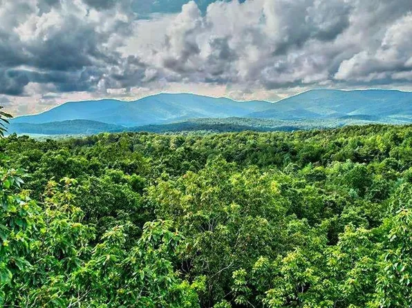 17.67 Rainbow Trl W, Ellijay, GA 30540