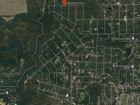 Rose Bloom Ave #5, Webster, FL 33597