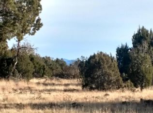 2053 Supancheck Rd, Show Low, AZ 85901