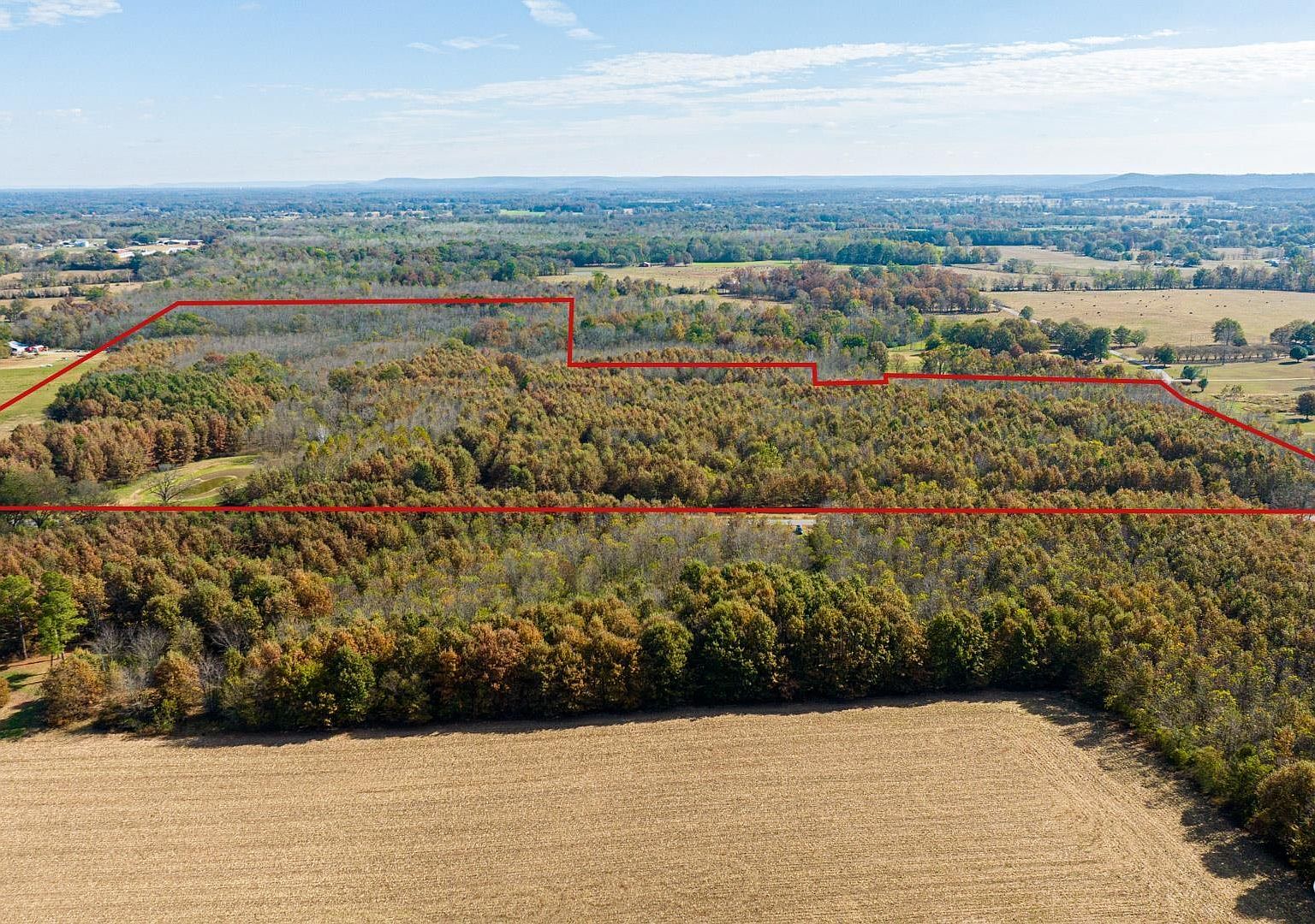 NULLA Tanner Rd, Danville, AL 35619 Zillow