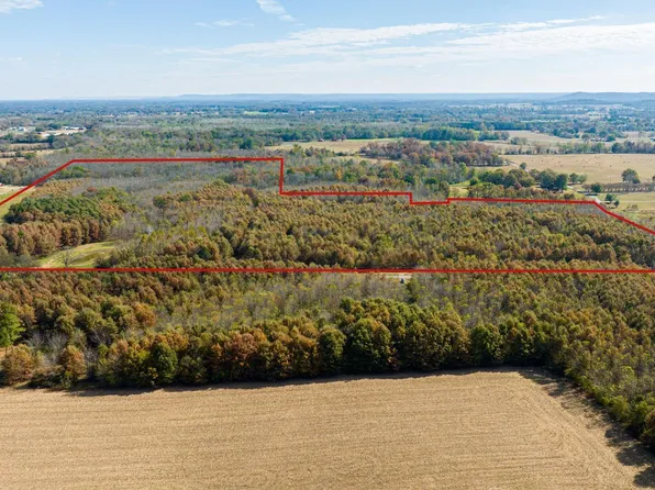 NULLA Tanner Rd, Danville, AL 35619