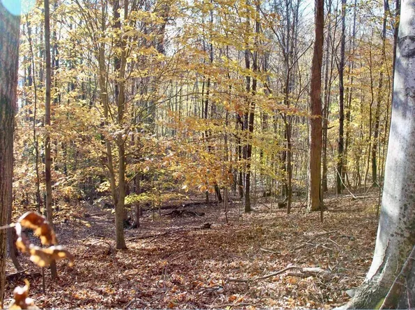 Lots 27e 32e Parkersville Rd, Eddyville, KY 42038