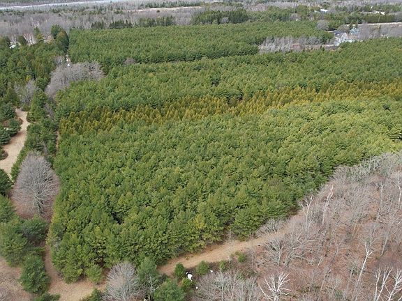 3rd image of LOT 4 Birch Rd