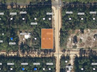 Xx Davis St LOT 11, Interlachen, FL 32148