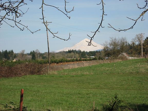 Mount Hood View