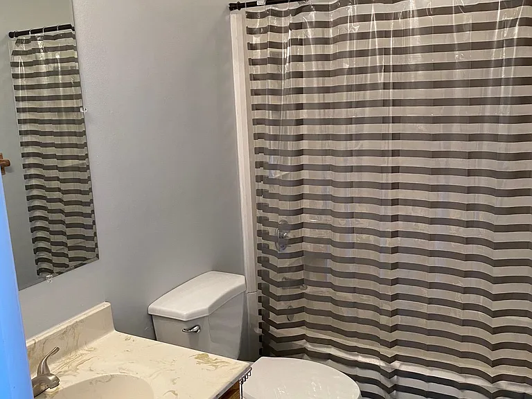 9732 Springfield Woods Cir — Photo 37