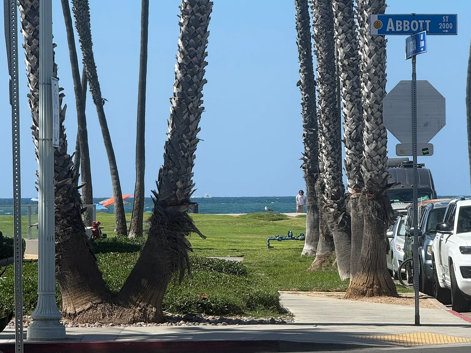 Saratoga Ave, San Diego — Photo 1