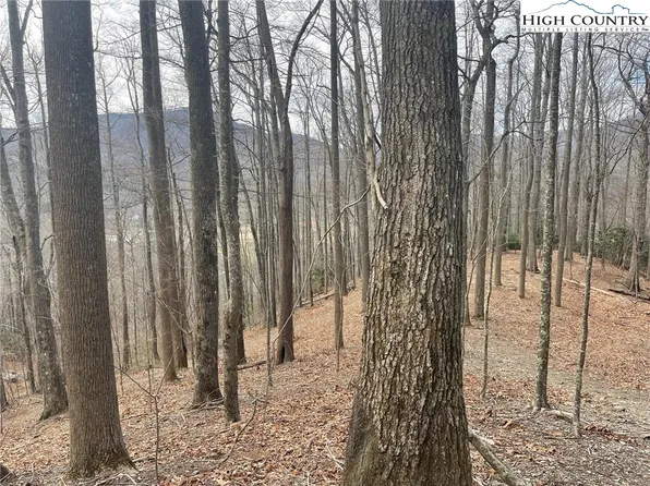 7 Jackson Ridge Road, Boone, NC 28607