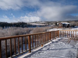 383 W Coyote Dr, Silverthorne, CO 80498