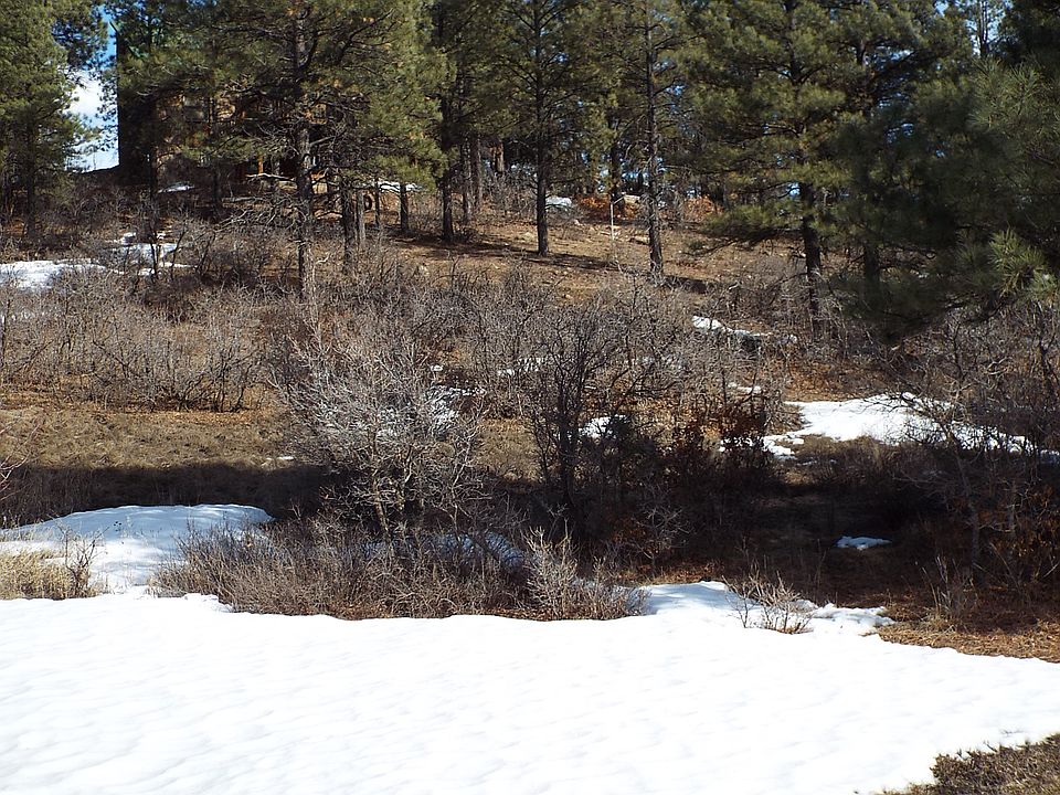 1st image of 49 Sumac Ct