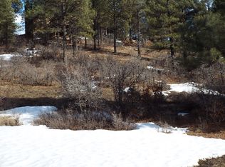 49 Sumac Ct, Pagosa Springs, CO 81147