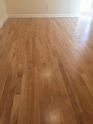 Rented by Alexander Bilu, LREB