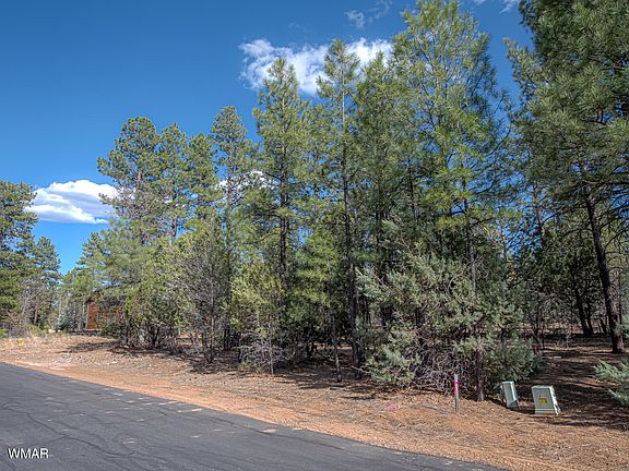4th image of 4001 W Ninebark Ln