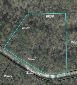 0 NW 73rd Way LOT 15, Bell, FL, 32619