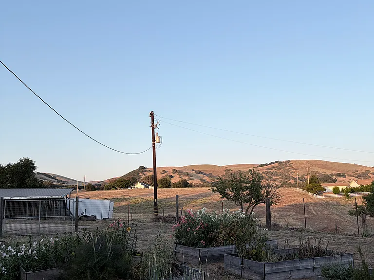 Back yard with garden