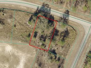 LOT 11 SW 144th Street Rd Lot 11, Ocala, FL 34473