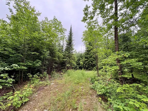LOT 1 Mount Jefferson Hts, Lee, ME 04455