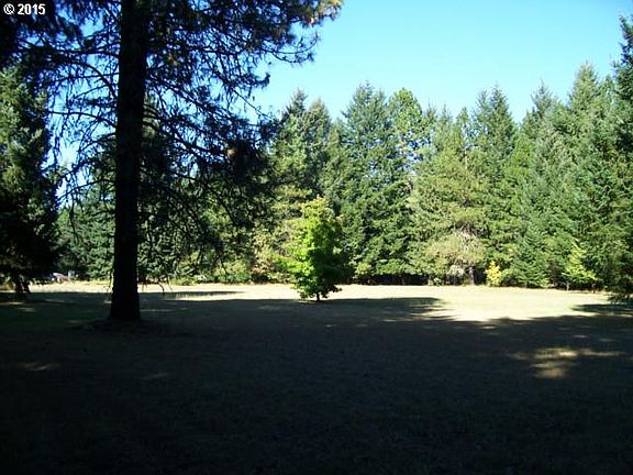 4th image of Fern Dr