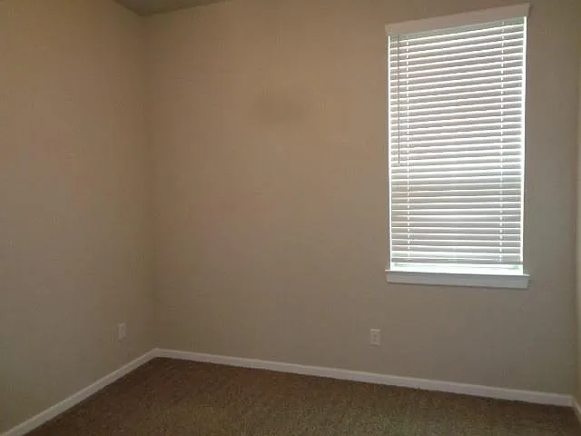 27029 Sofia Forest Dr — Photo 28