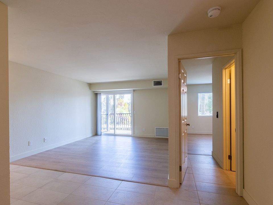 Bright, open living space with modern flooring and abundant natural light.