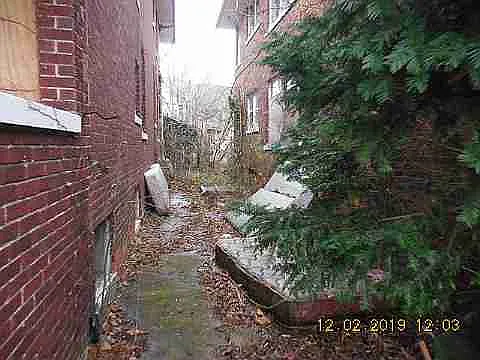 3319 Pingree