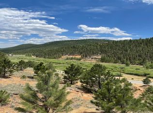 24 Rogers Rd, Bailey, CO 80421